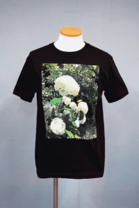 QS1836_Hydrangea Thirt_2c